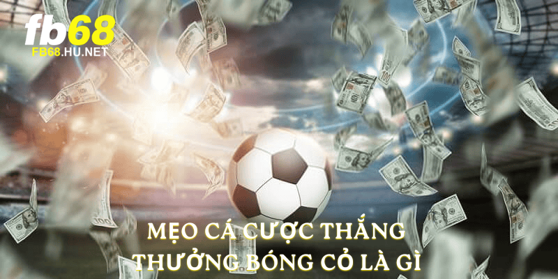 Mẹo cá cược thắng thưởng bóng cỏ là gì